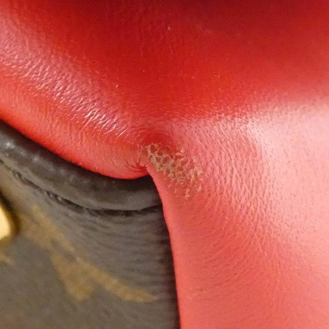 LOUIS VUITTON M44254 手提包 Monogram 5