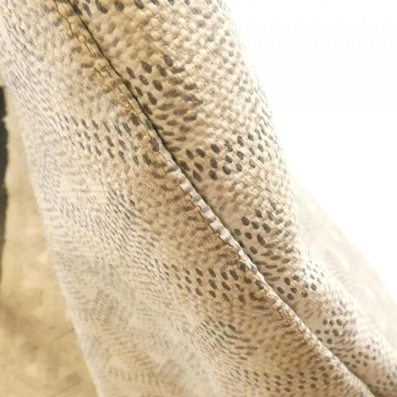 GOYARD Saint Louis AMA LOUIS PM Tote Canvas White Canvas - Thumbnail 6