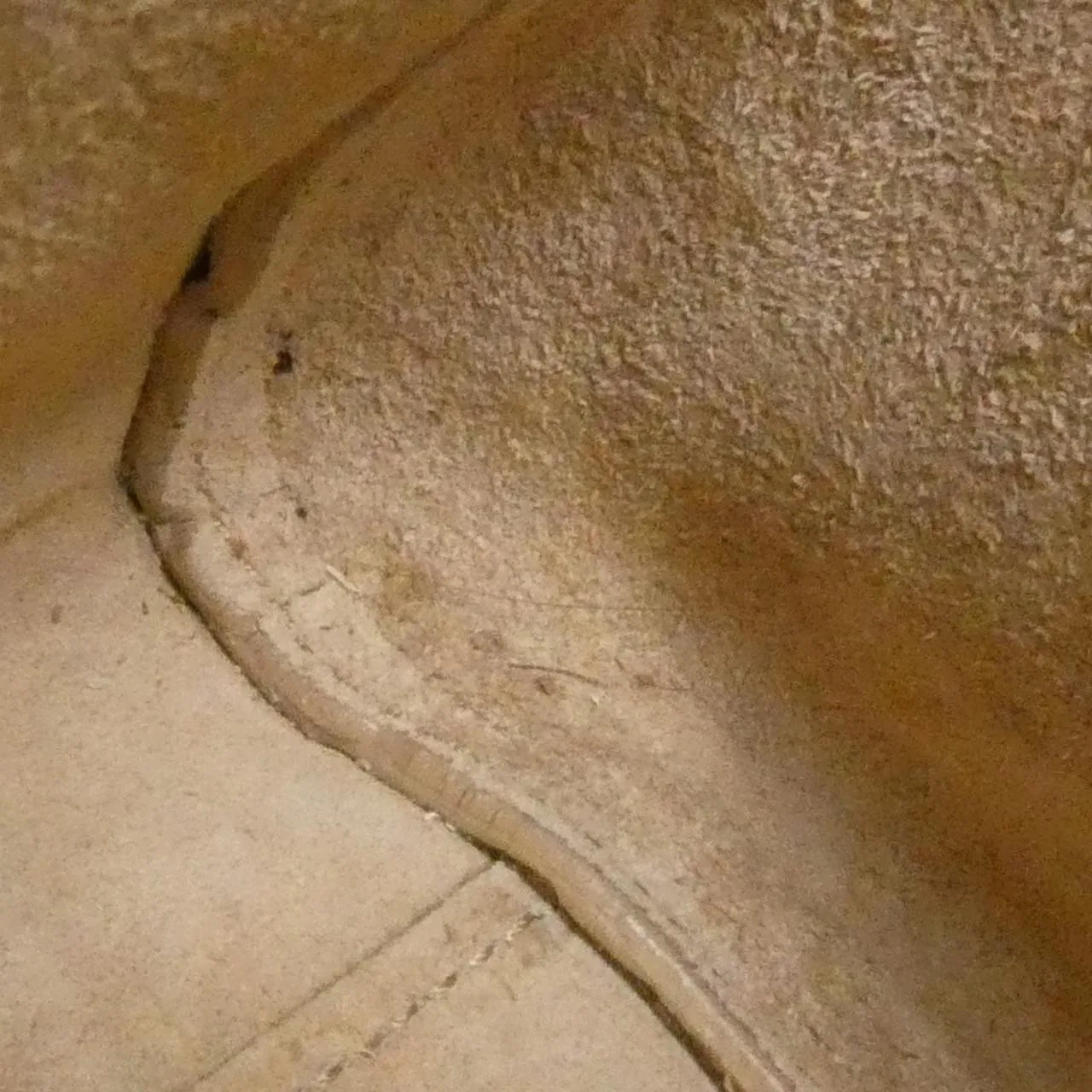 SAINT LAURENT Loulou 620667 Handbag Beige - Thumbnail 10