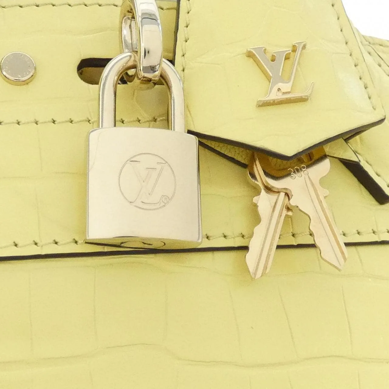 LOUIS VUITTON Steamer 肩背包 皮革 5