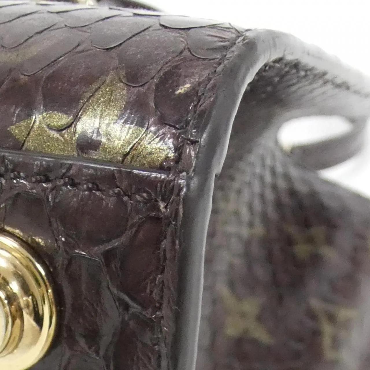 LOUIS VUITTON Steamer 手提包 Monogram 3