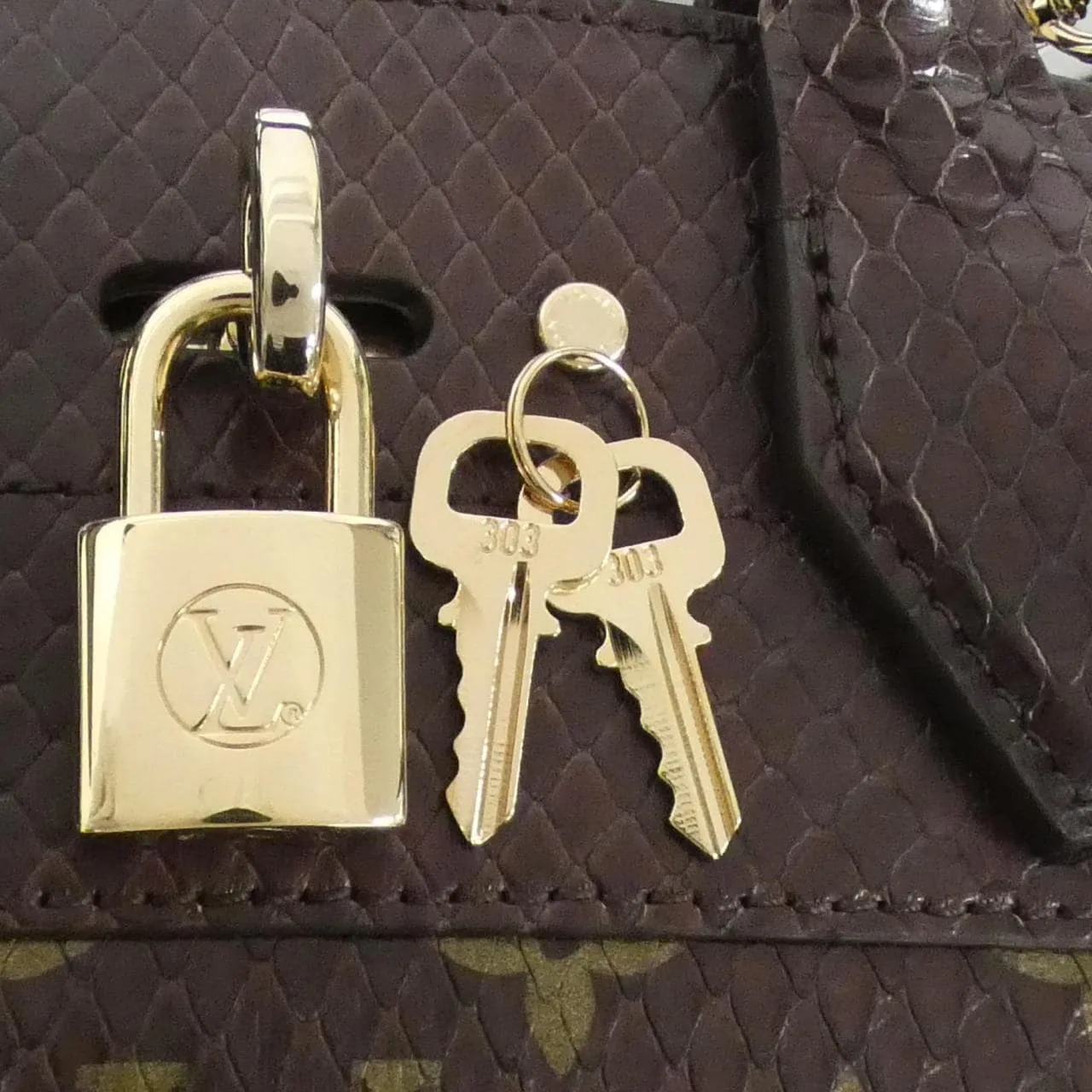 LOUIS VUITTON Steamer 手提包 Monogram 4