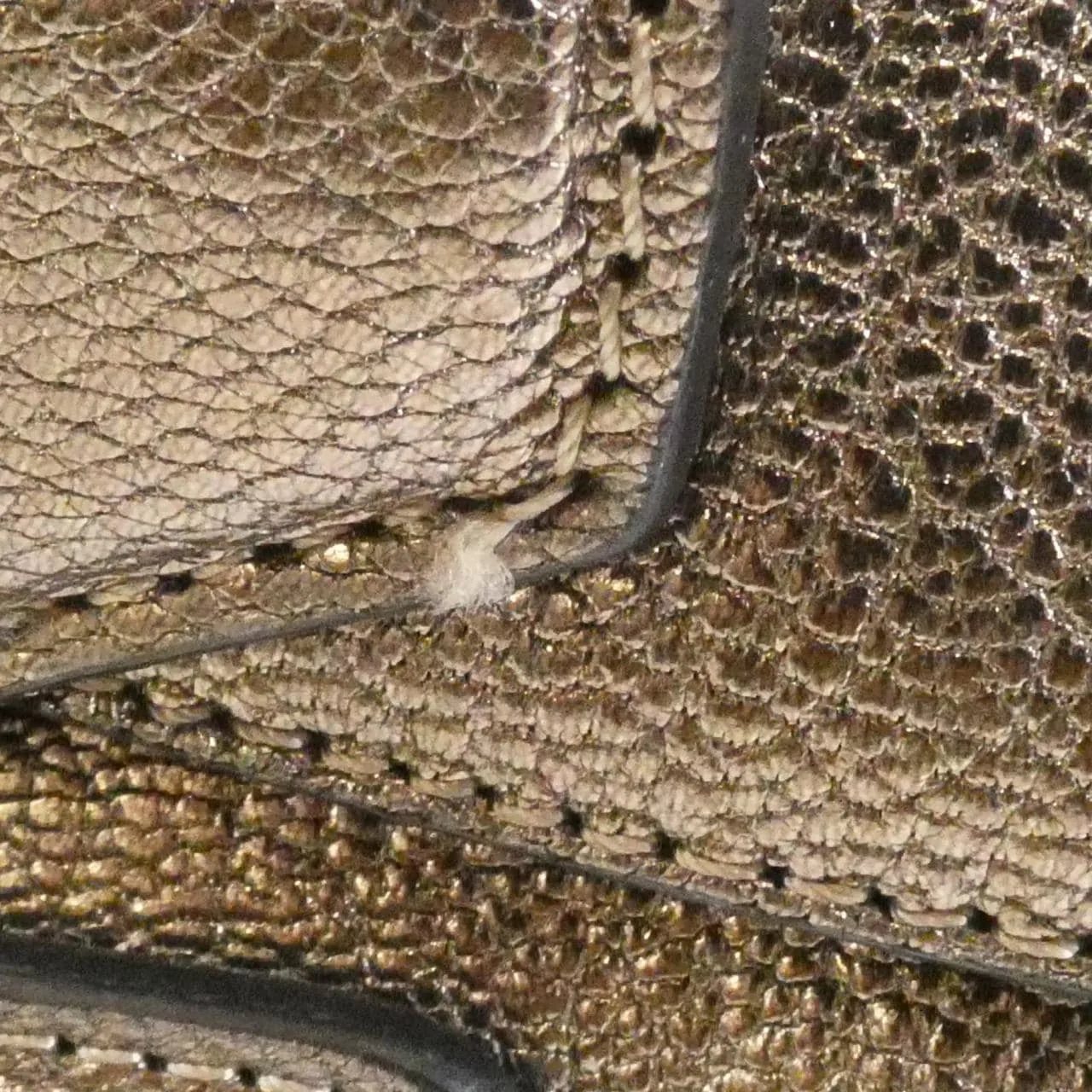 LOEWE 329 70 D38 Handbag Leather Black Leather - Thumbnail 4