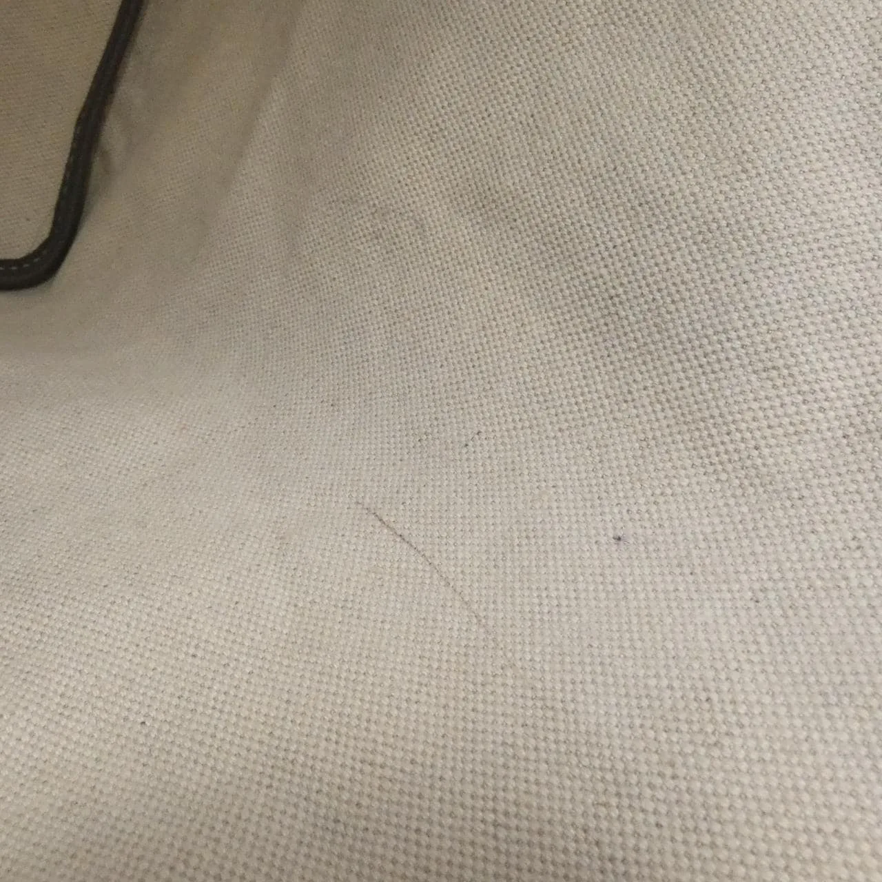 GOYARD Saint Louis AMA LOUIS PM Tote Canvas Grey Canvas - Thumbnail 7