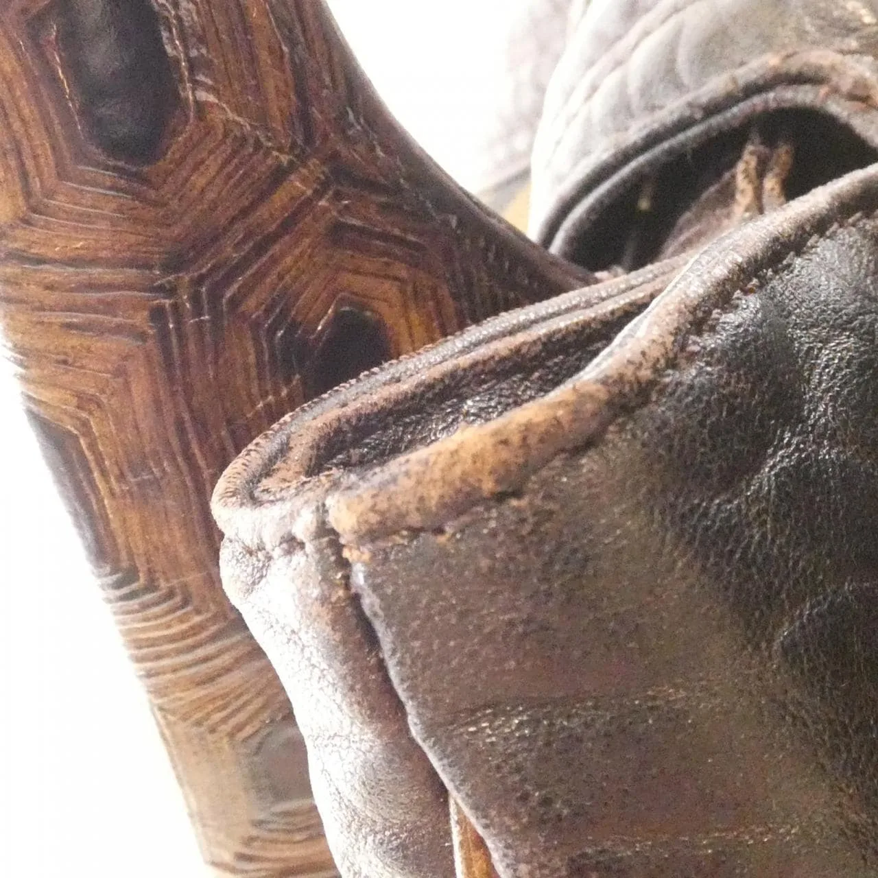 FENDI Baguette 8BR589RPU Handbag Canvas Black Canvas - Thumbnail 5