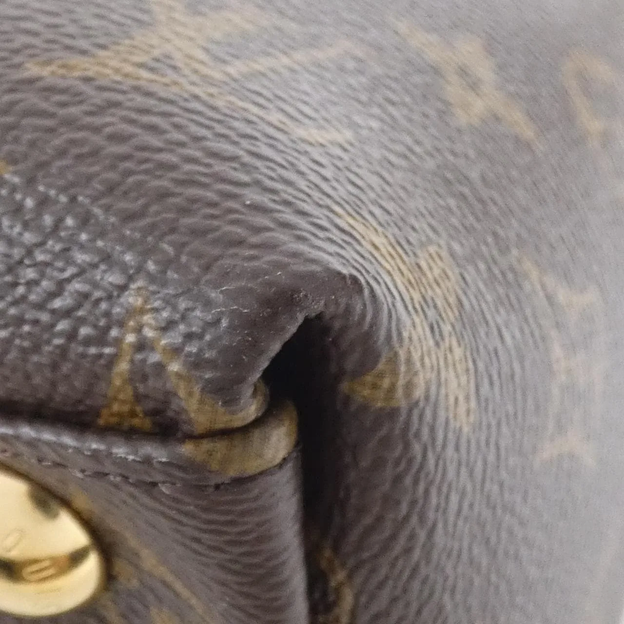 LOUIS VUITTON M43948 托特包 Monogram 3