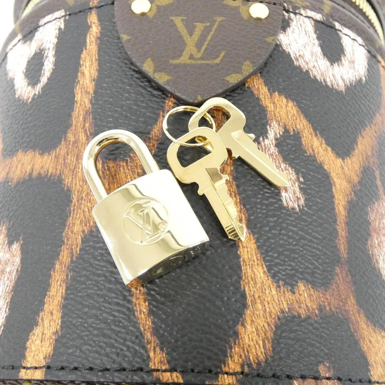 LOUIS VUITTON M13846 手提包 Monogram 4