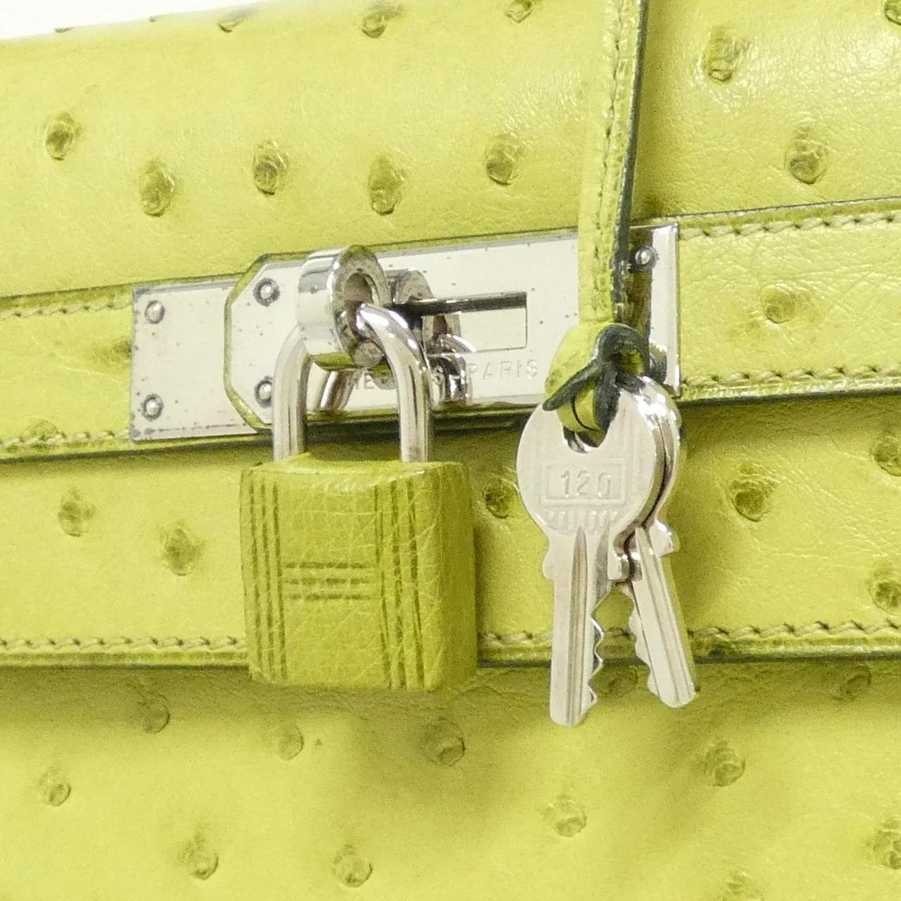 HERMES Kelly Handbag Ostrich 4