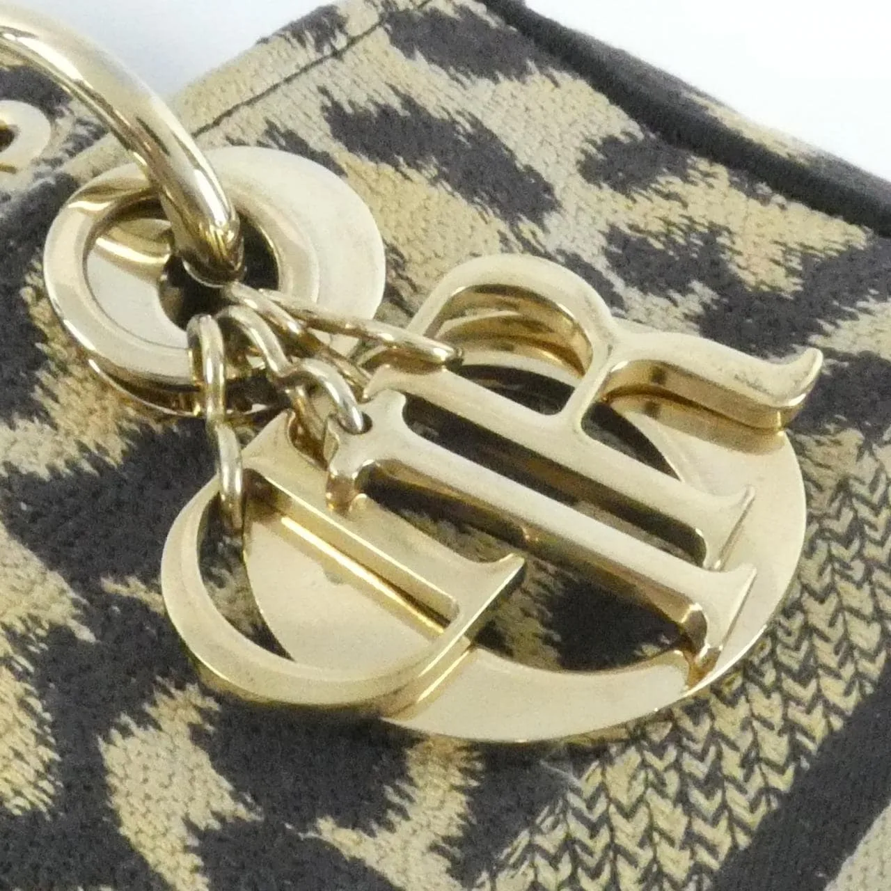 DIOR Lady Dior M0565ORHM 手提包 帆布 6