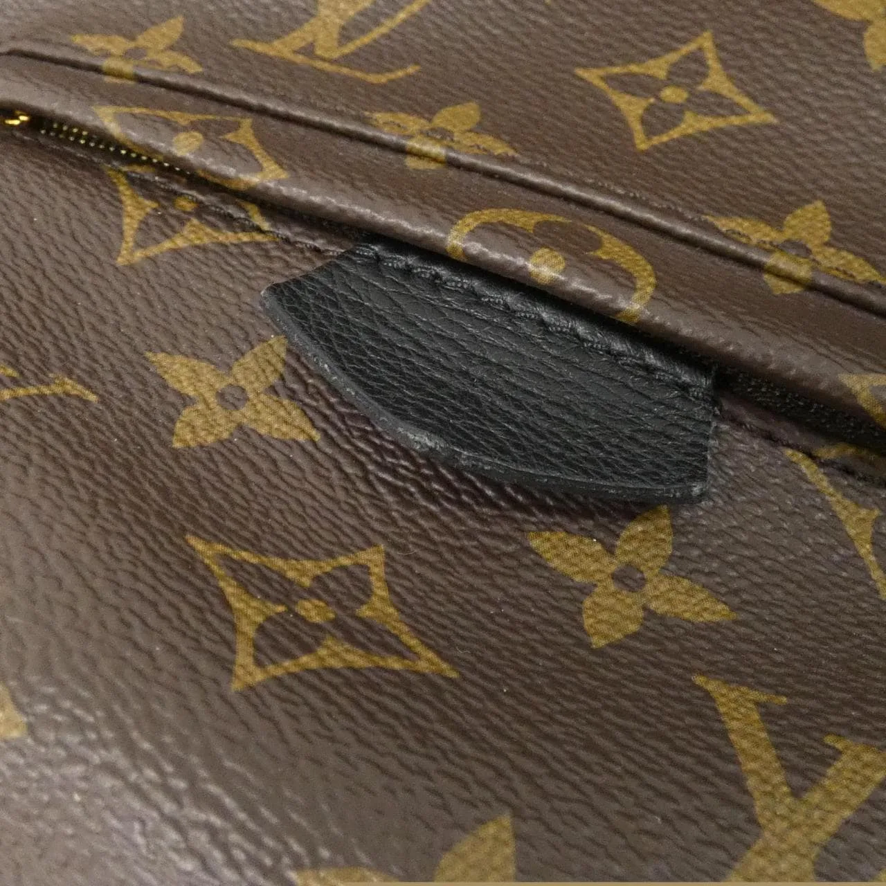 LOUIS VUITTON Palm Springs M41560 Backpack Monogram 5