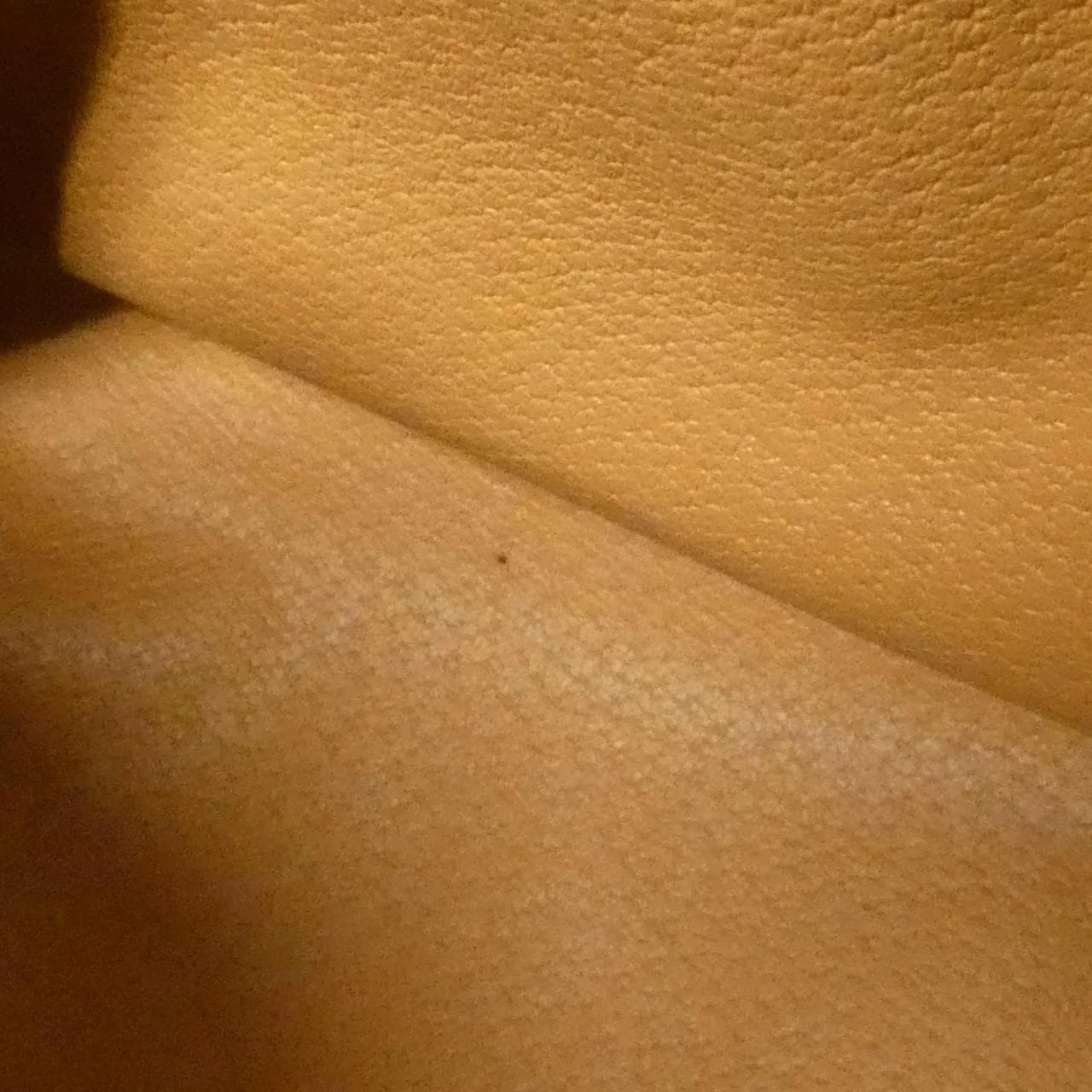 CELINE Boston Canvas Brown Canvas Rank A - Thumbnail 10