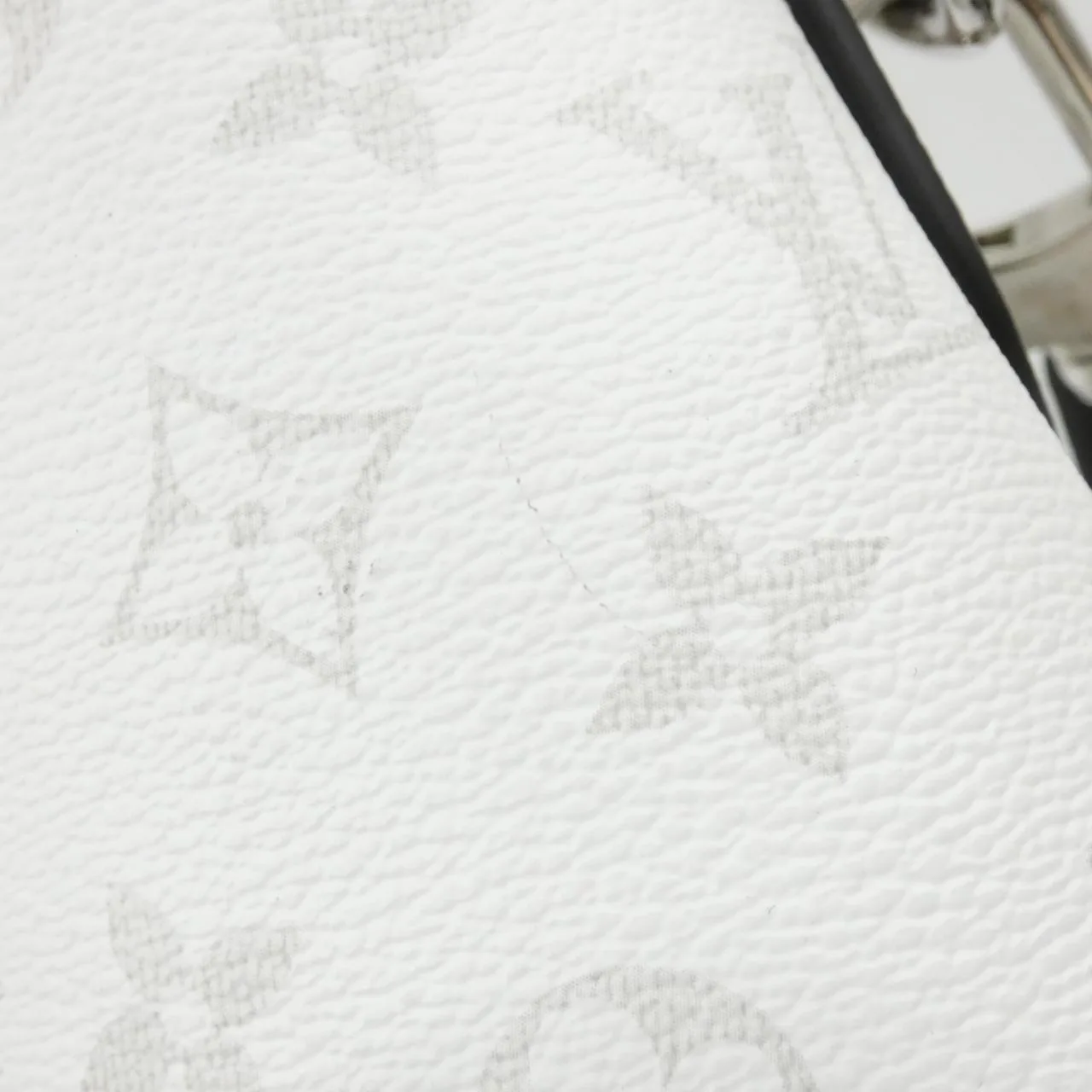 LOUIS VUITTON M30919 托特包 帆布 4