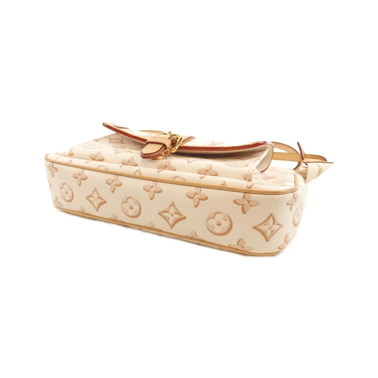 LOUIS VUITTON Pochette M20920 肩背包 帆布 3