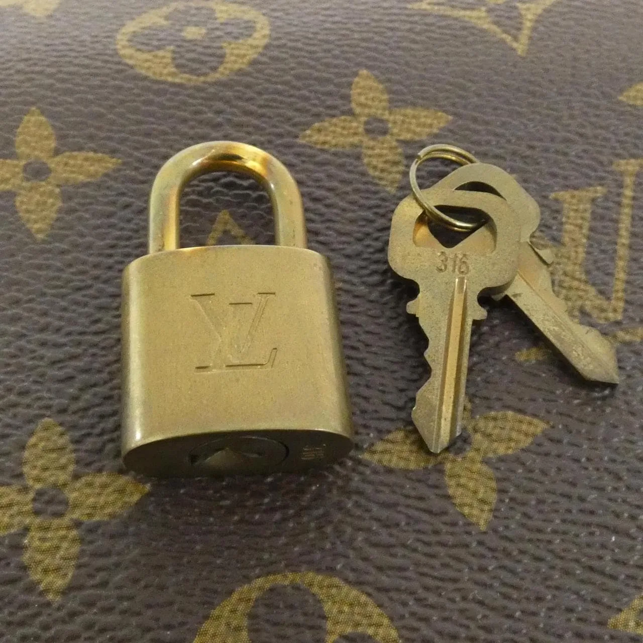 LOUIS VUITTON M95566 肩背包 帆布 5