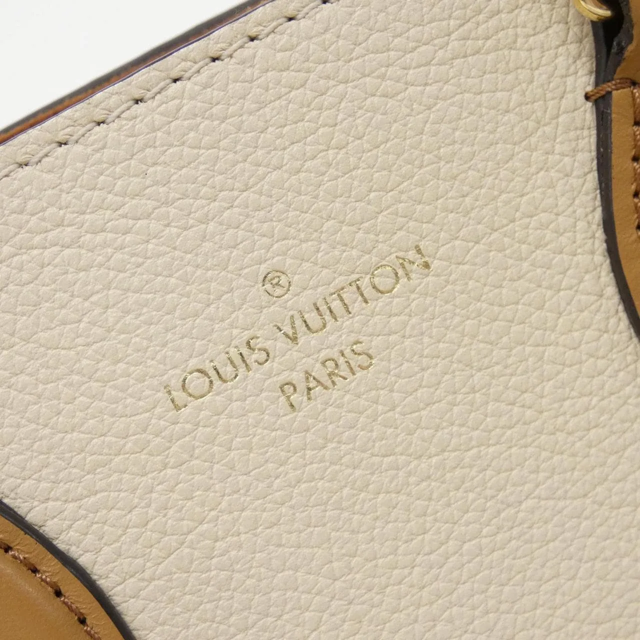 LOUIS VUITTON M45376 托特包 Monogram 5
