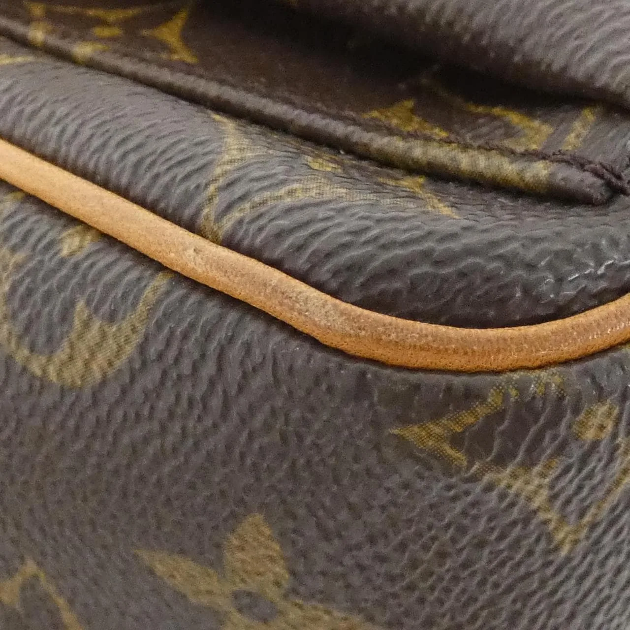 LOUIS VUITTON Viva Cité M51165 Shoulder Monogram 4