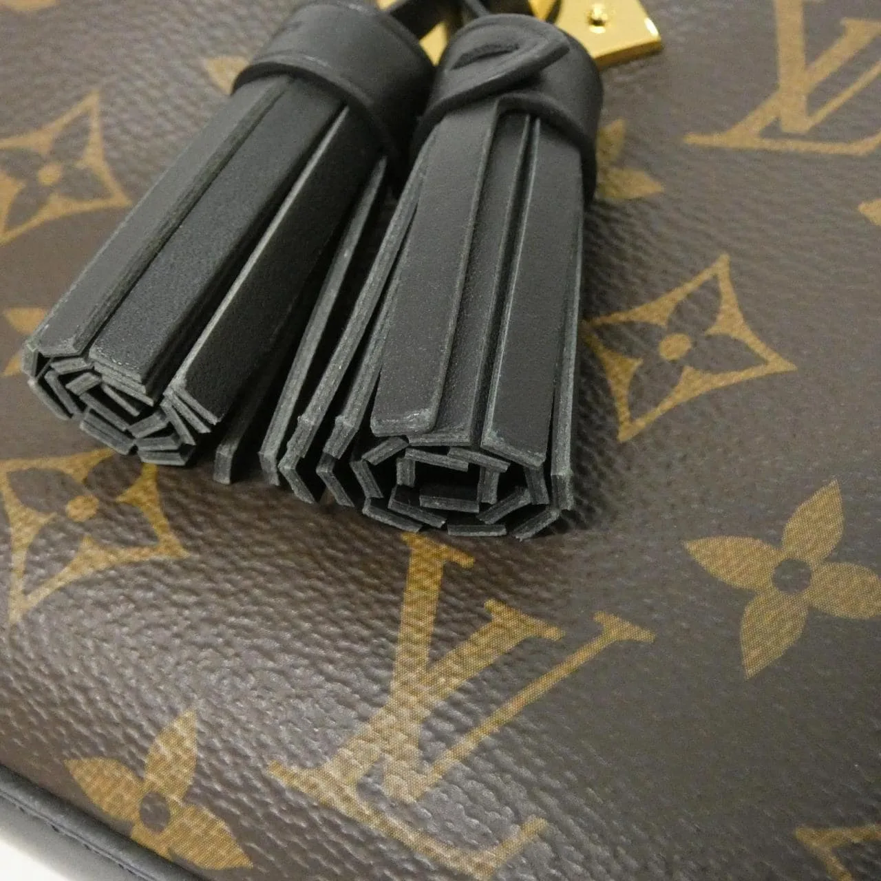 LOUIS VUITTON M43555 肩背包 Monogram 5