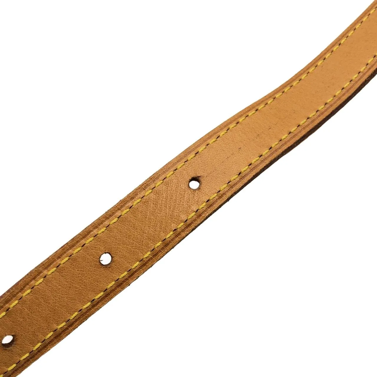 LOUIS VUITTON M51179 肩背包 Monogram 5