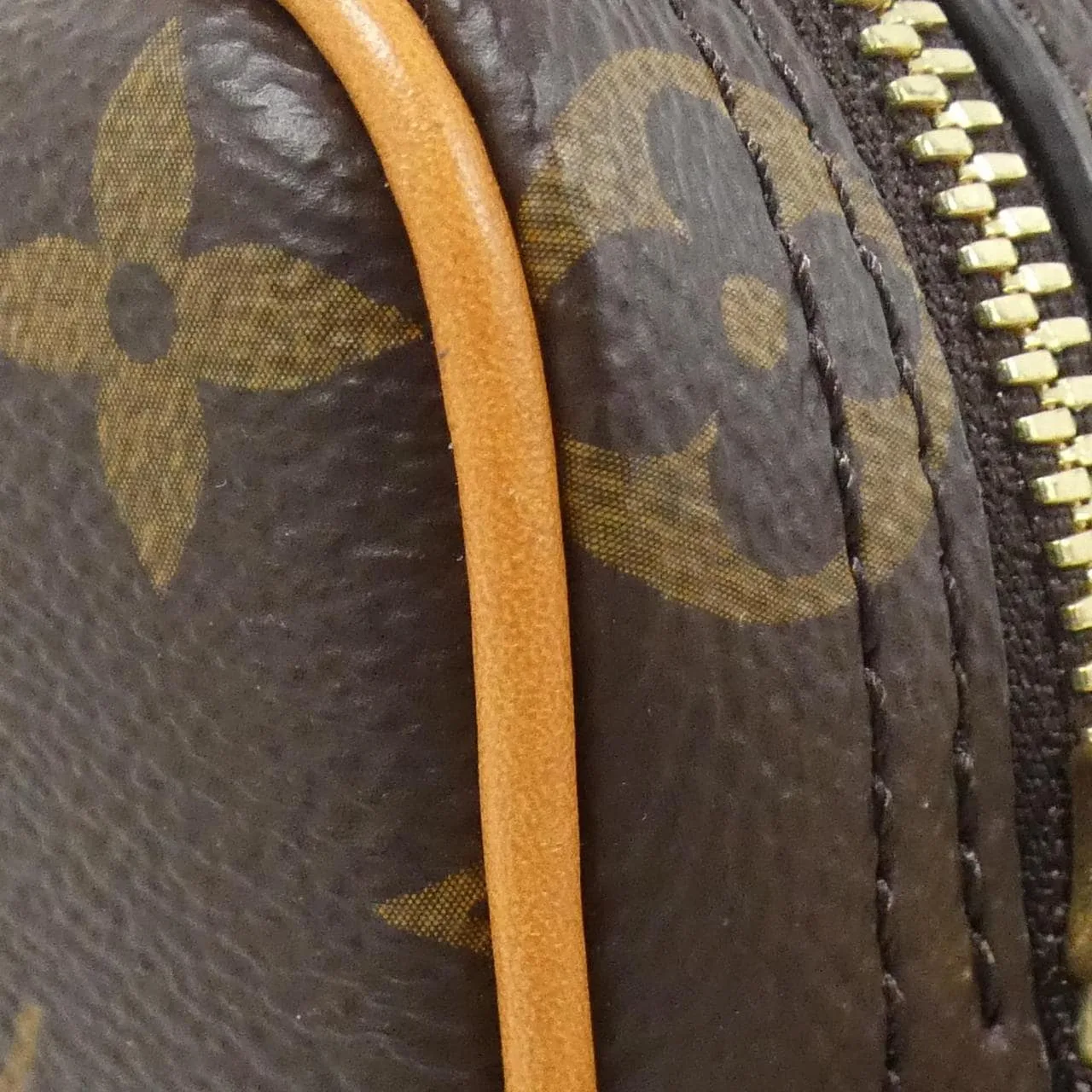 LOUIS VUITTON Nile M14016 肩背包 Monogram 4