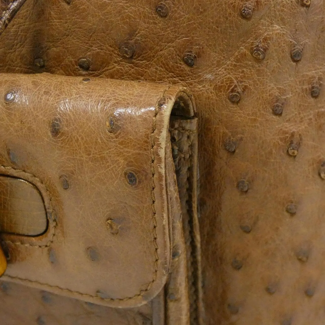 GUCCI 003 2058 Backpack Ostrich 棕色 鴕鳥皮 中古品A - 縮圖 5