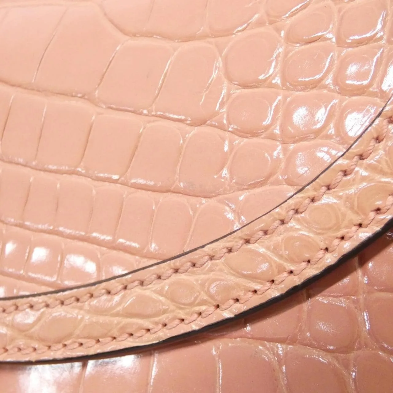 GUCCI Ophidia 651055 Handbag Crocodile 5