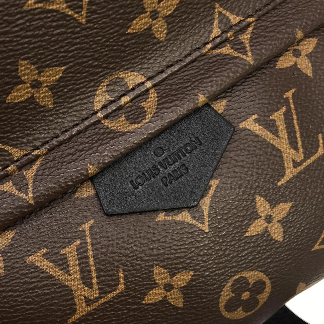 LOUIS VUITTON Palm Springs M44874 Backpack Monogram Black Monogram Rank A - Thumbnail 4