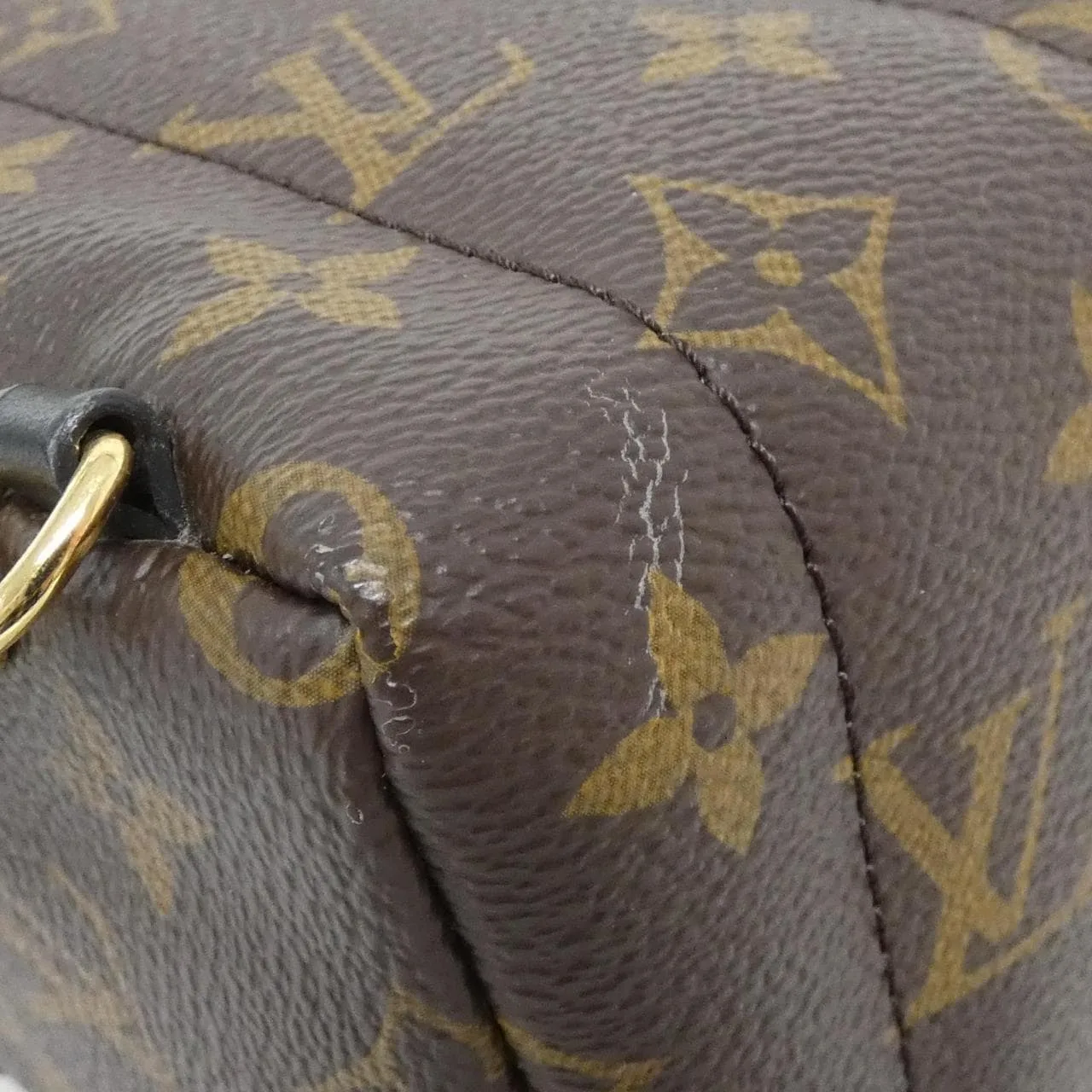 LOUIS VUITTON Palm Springs M44873 Backpack Monogram 3