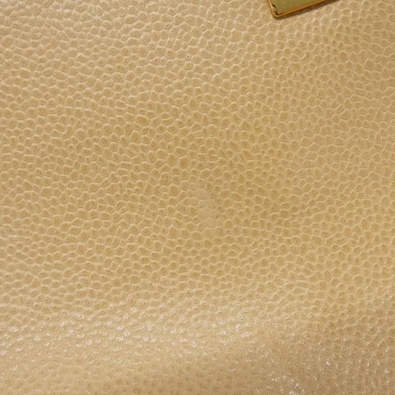 CHANEL 肩背包 魚子醬皮