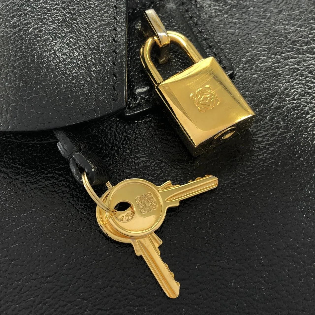 LOEWE Amazona 352 35 A22 Handbag 4