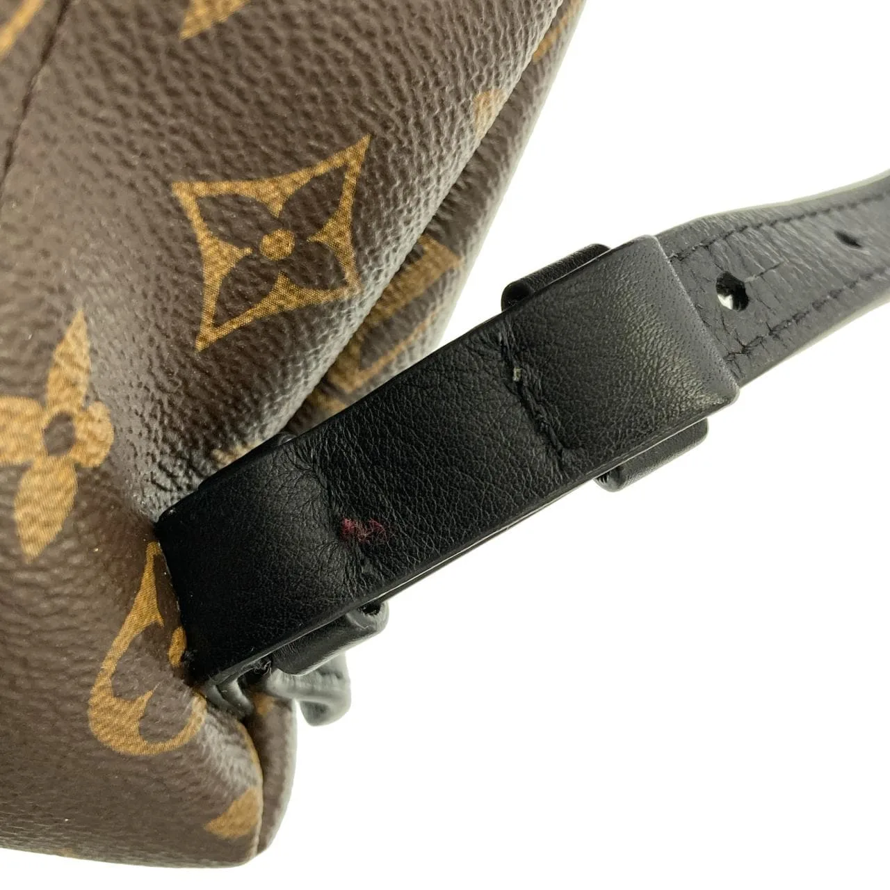 LOUIS VUITTON Palm Springs M41560 Backpack Monogram 5