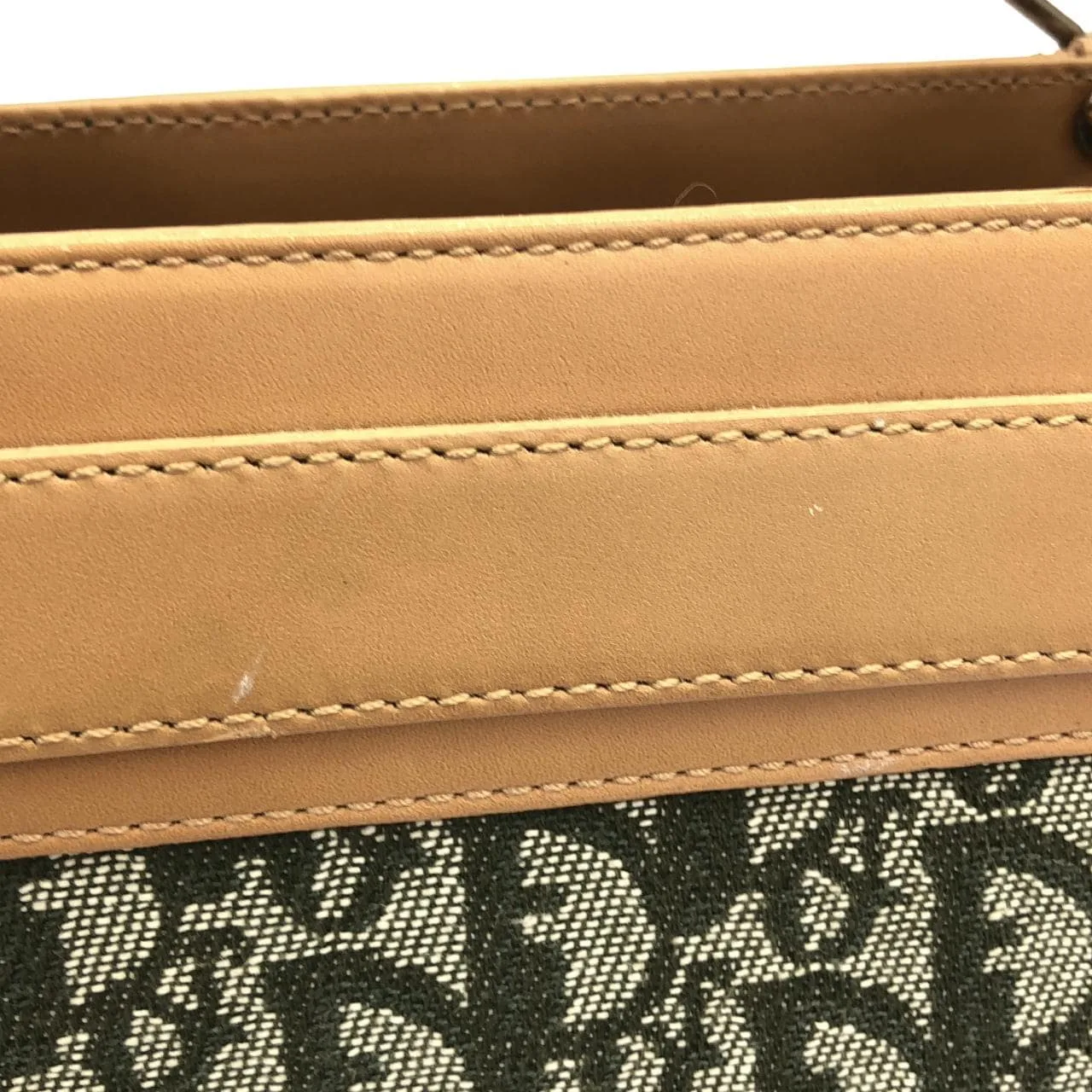 DIOR Handbag Canvas 5