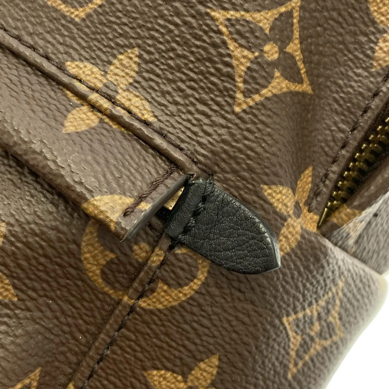 LOUIS VUITTON Palm Springs M41560 背包 Monogram 5
