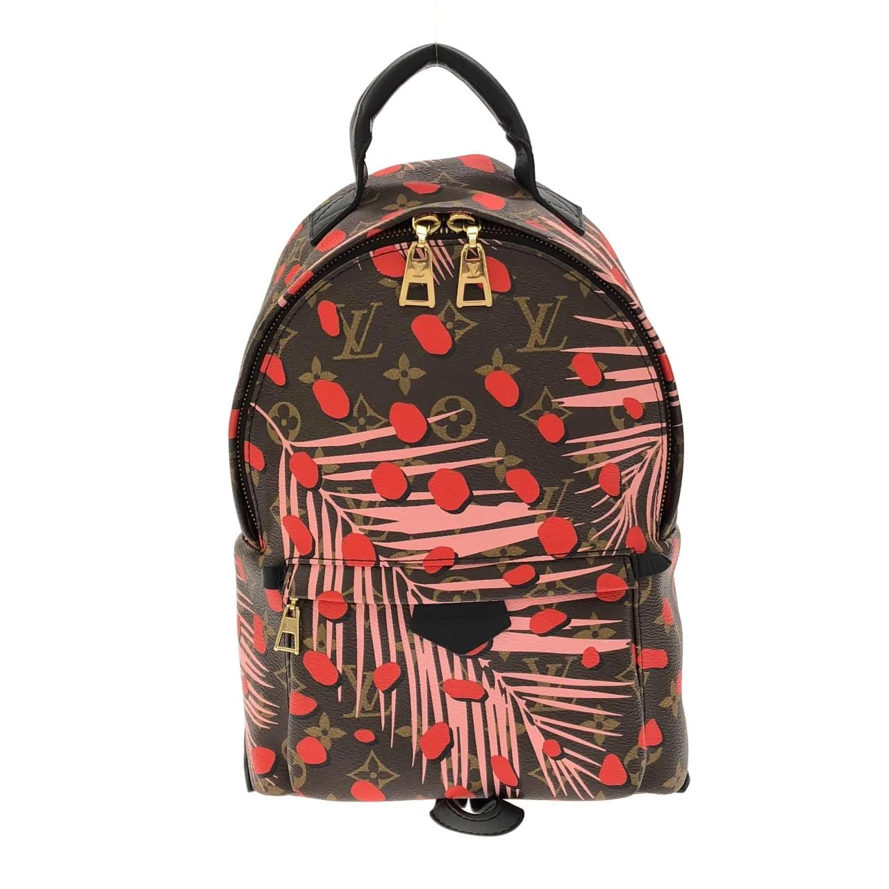 LOUIS VUITTON Palm Springs M41981 Backpack Monogram