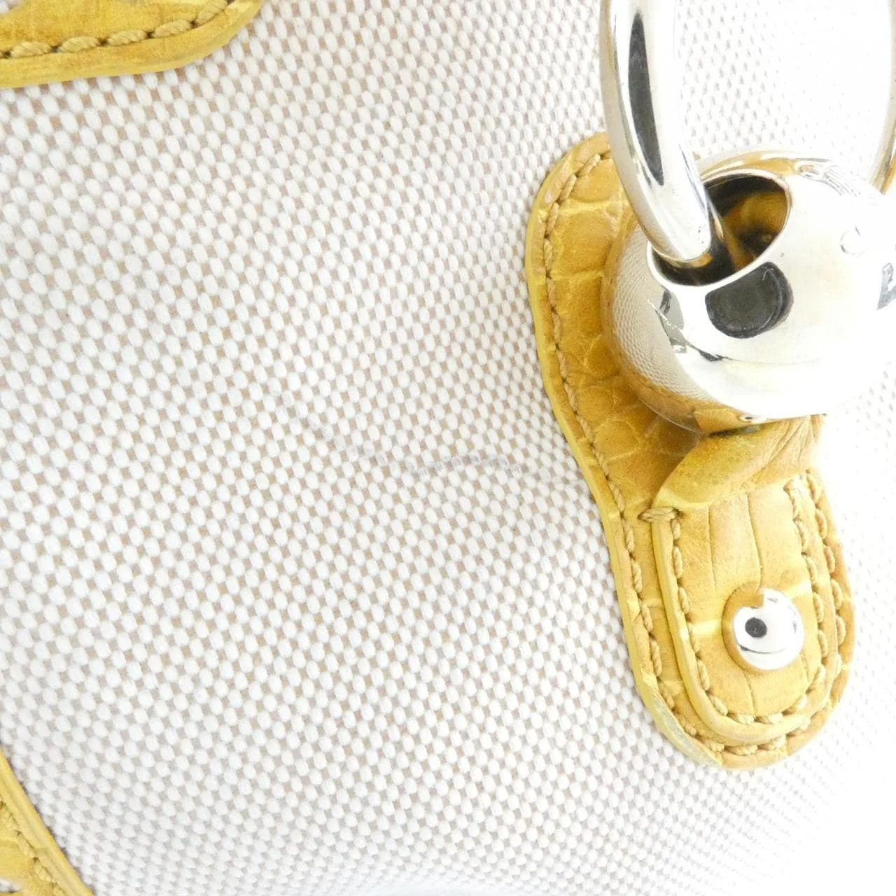 CELINE Handbag Canvas 4