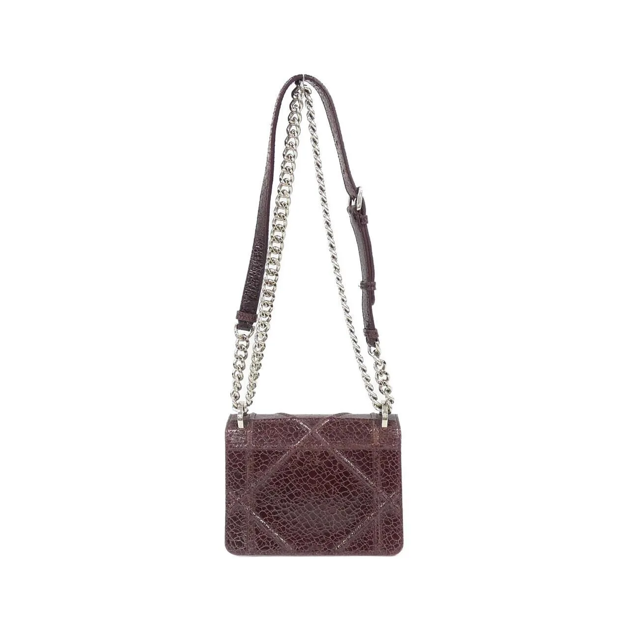 DIOR Shoulder Leather 2