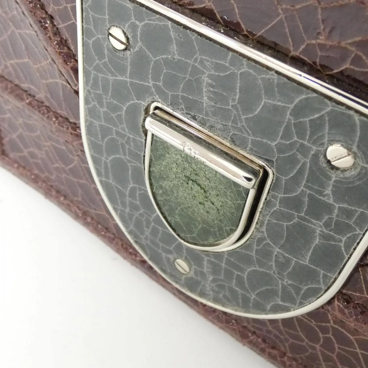 DIOR Shoulder Leather 5