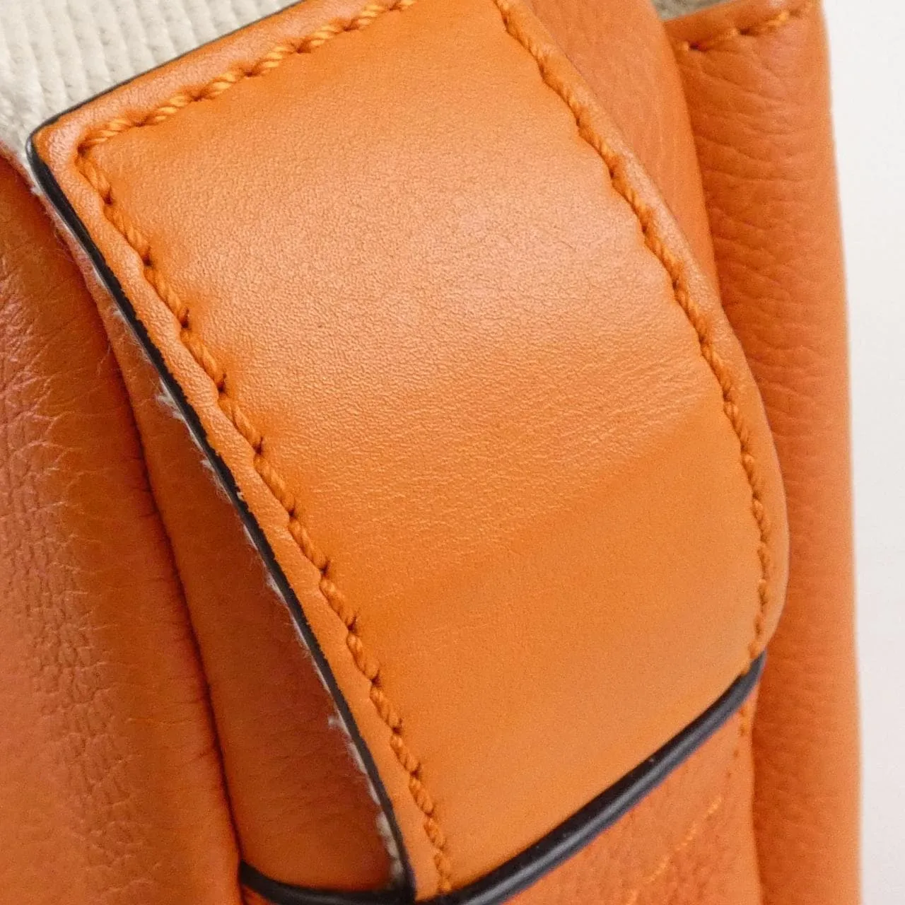 LOEWE 317 12AA72 肩背包