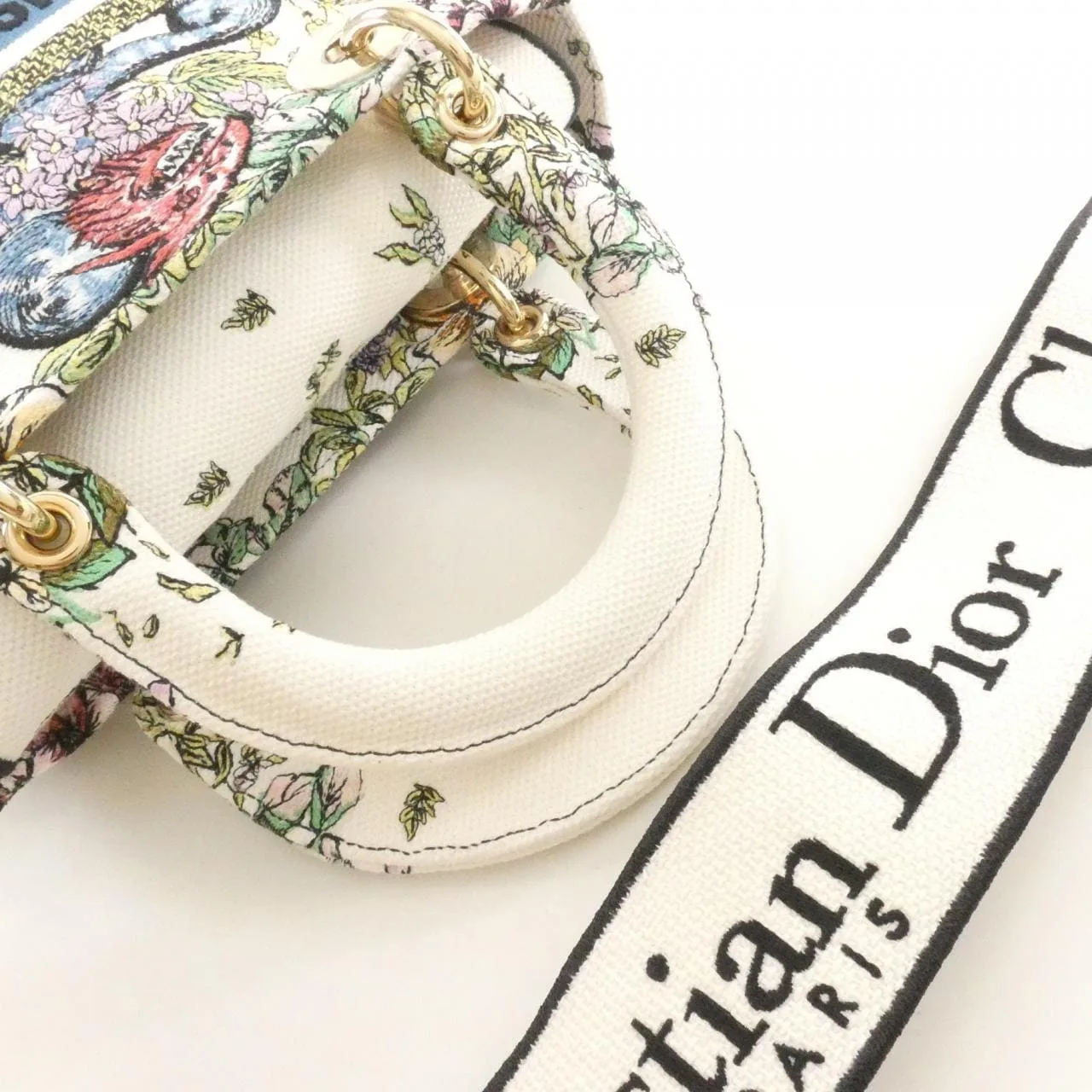DIOR Lady Dior M0565ORUV Handbag Canvas 5