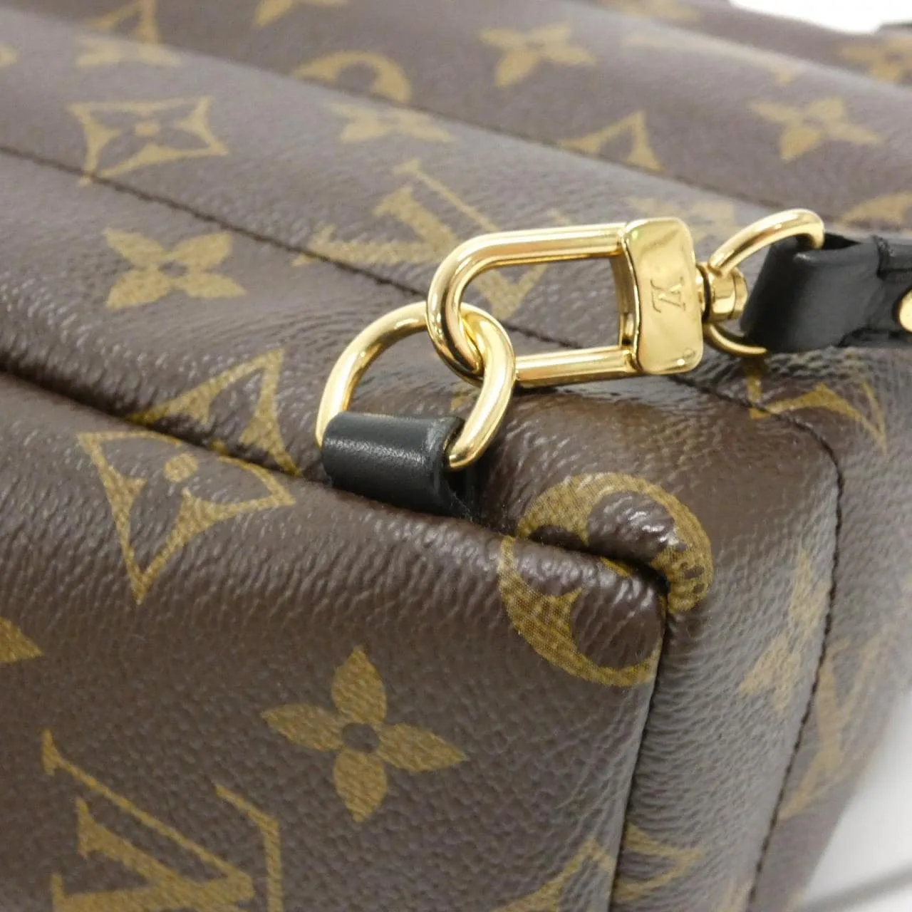 LOUIS VUITTON Palm Springs M41560 Backpack Monogram 5