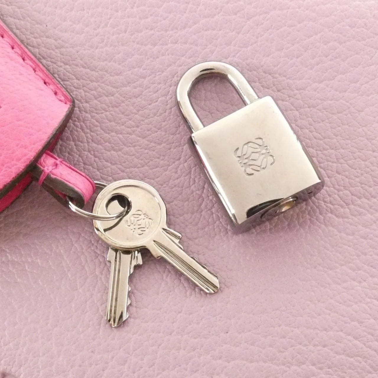 LOEWE Amazona 352 35AA03 Handbag 4