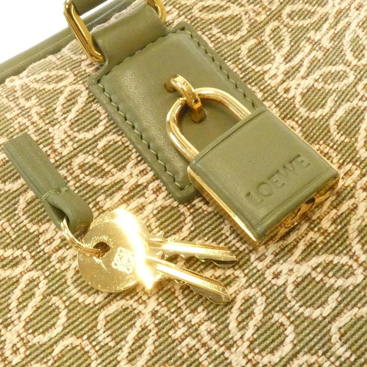LOEWE Amazona A039N08X02 Handbag Canvas 5