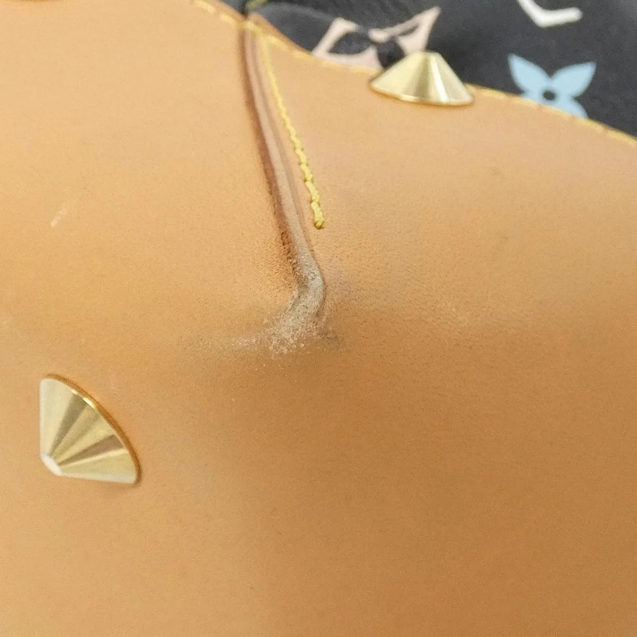 LOUIS VUITTON M40256 手提包 帆布 2