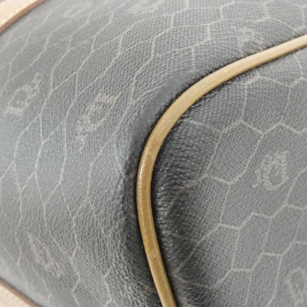 DIOR Boston Canvas 3