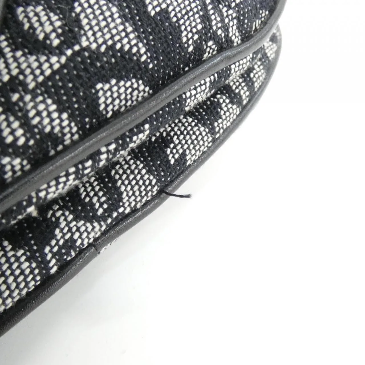 DIOR Shoulder Canvas 3