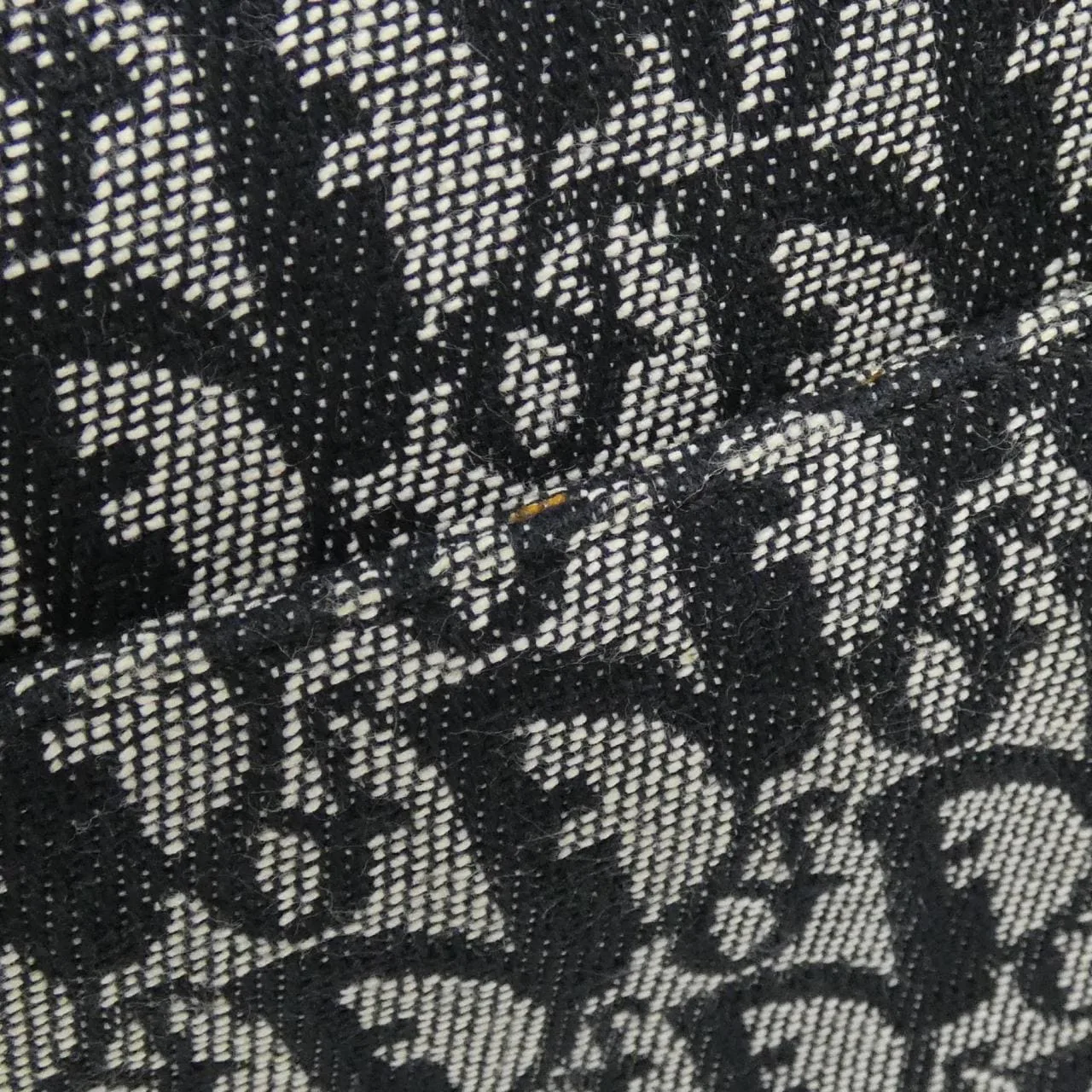 DIOR Shoulder Canvas 4