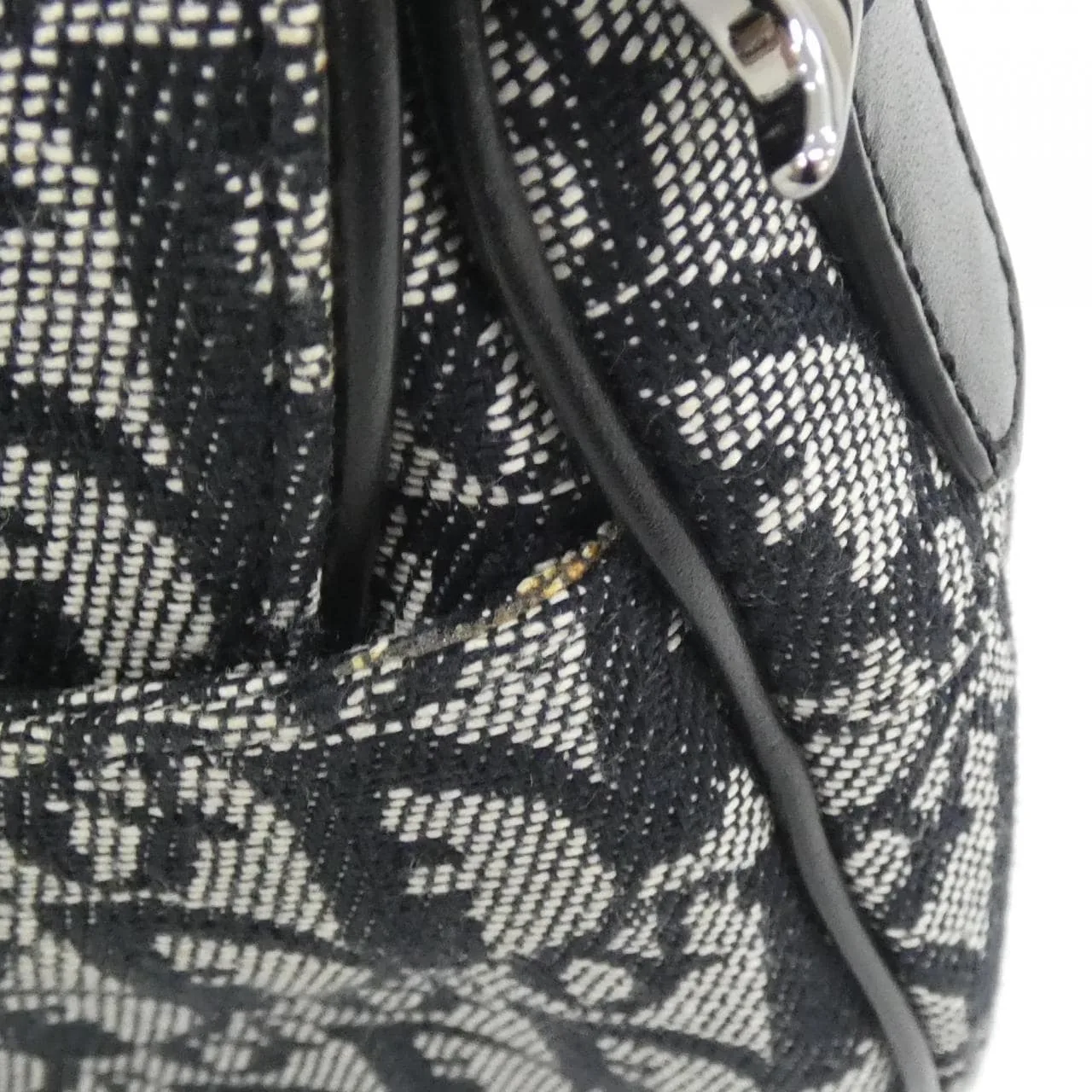 DIOR Shoulder Canvas 5