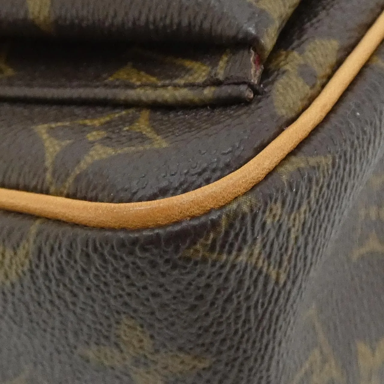 LOUIS VUITTON Viva Cité M51165 Shoulder Monogram 3