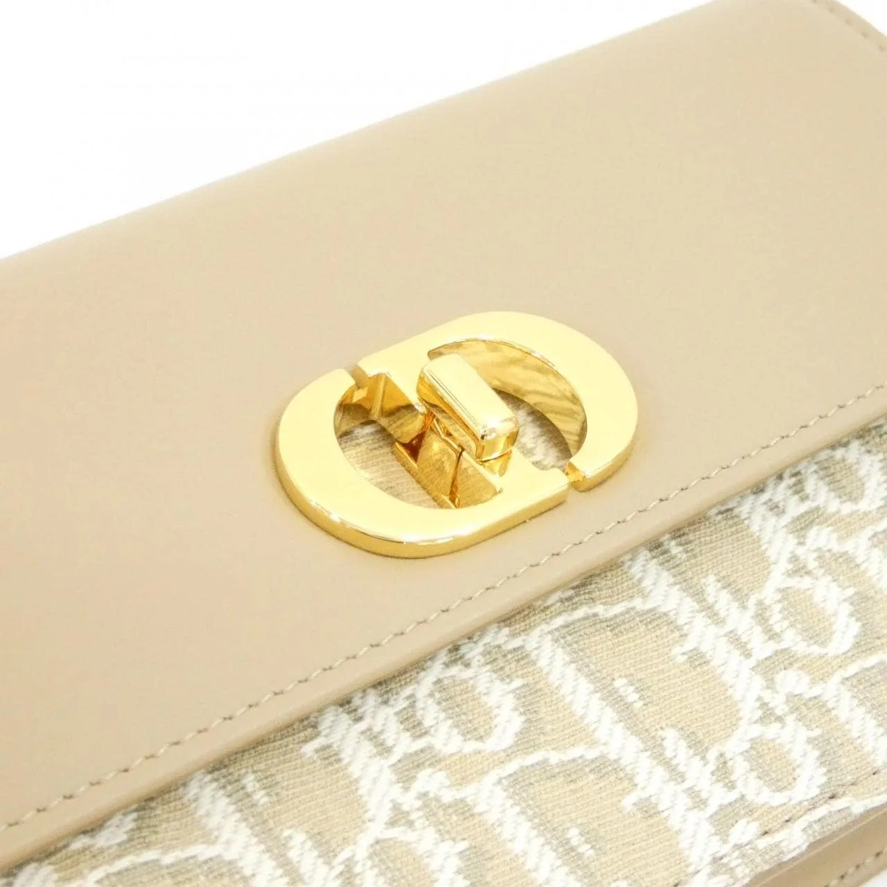 DIOR Caro S2375UNKO 小袋 帆布 4