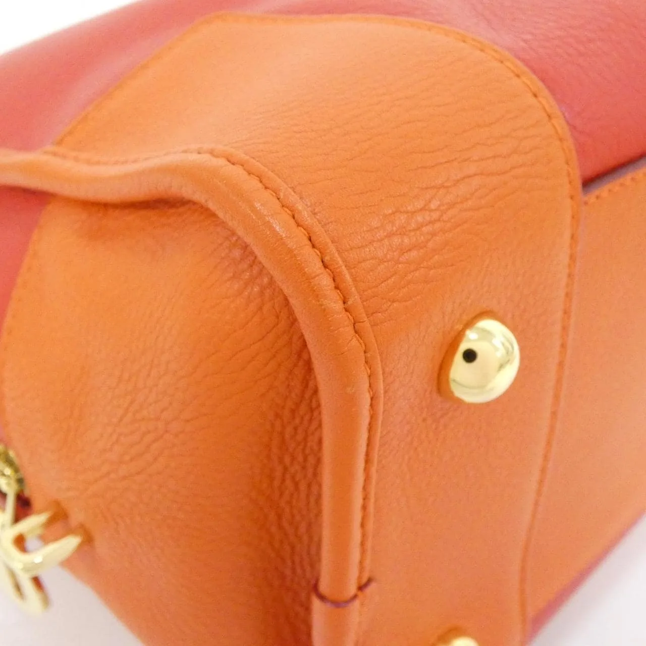 LOEWE Amazona 手提包 皮革 3