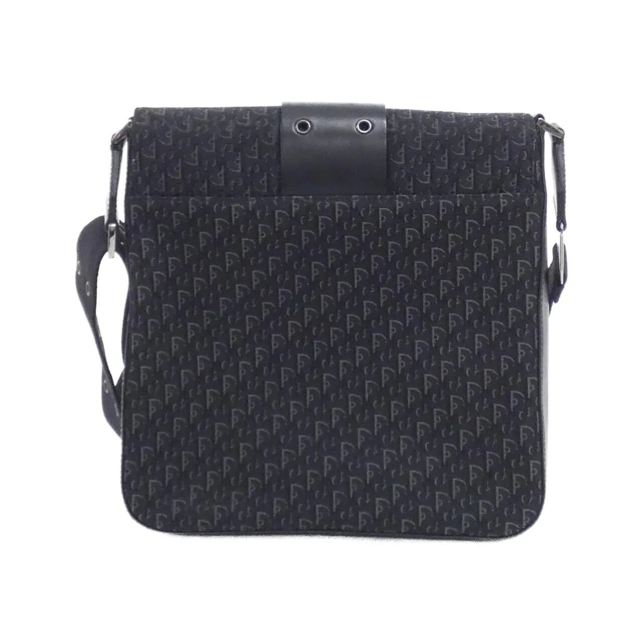 DIOR Shoulder Canvas 2